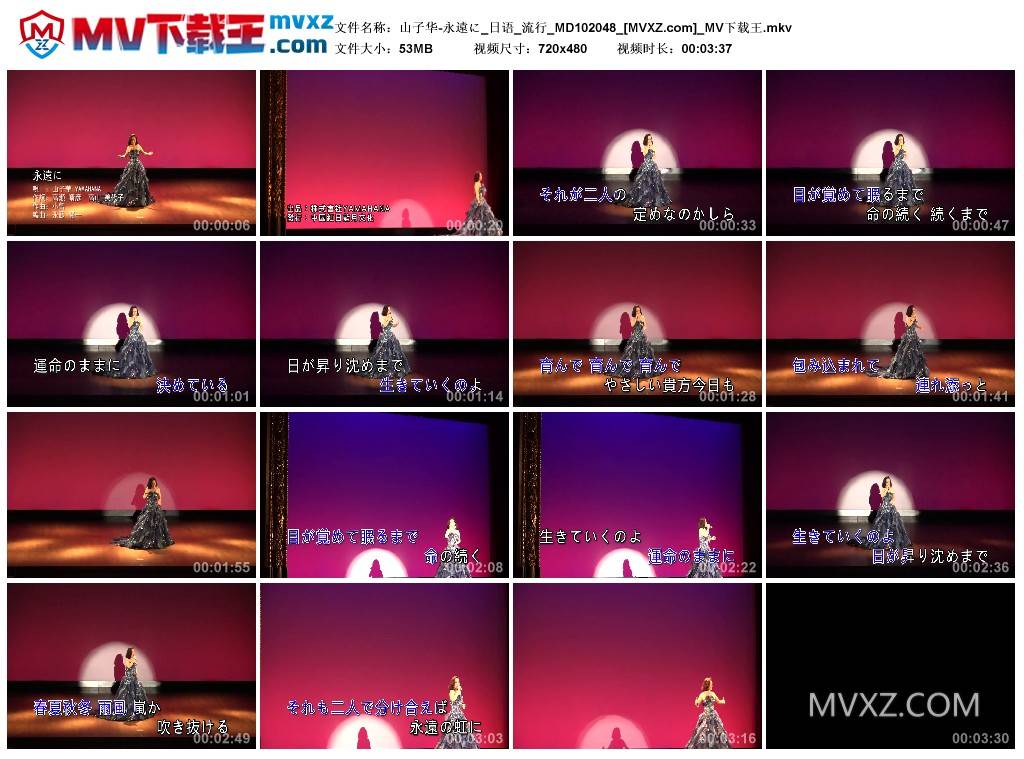 山子华-永遠に_日语_流行_MD102048
